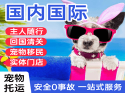 沙堤空运地址国际宠物托运 【国